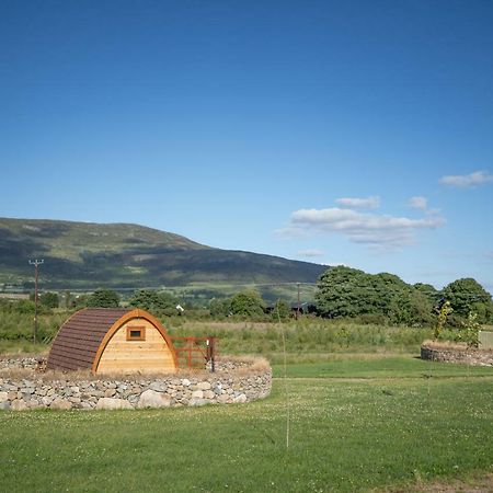 Bluebell Lane Glamping Hotel Newry Exterior foto