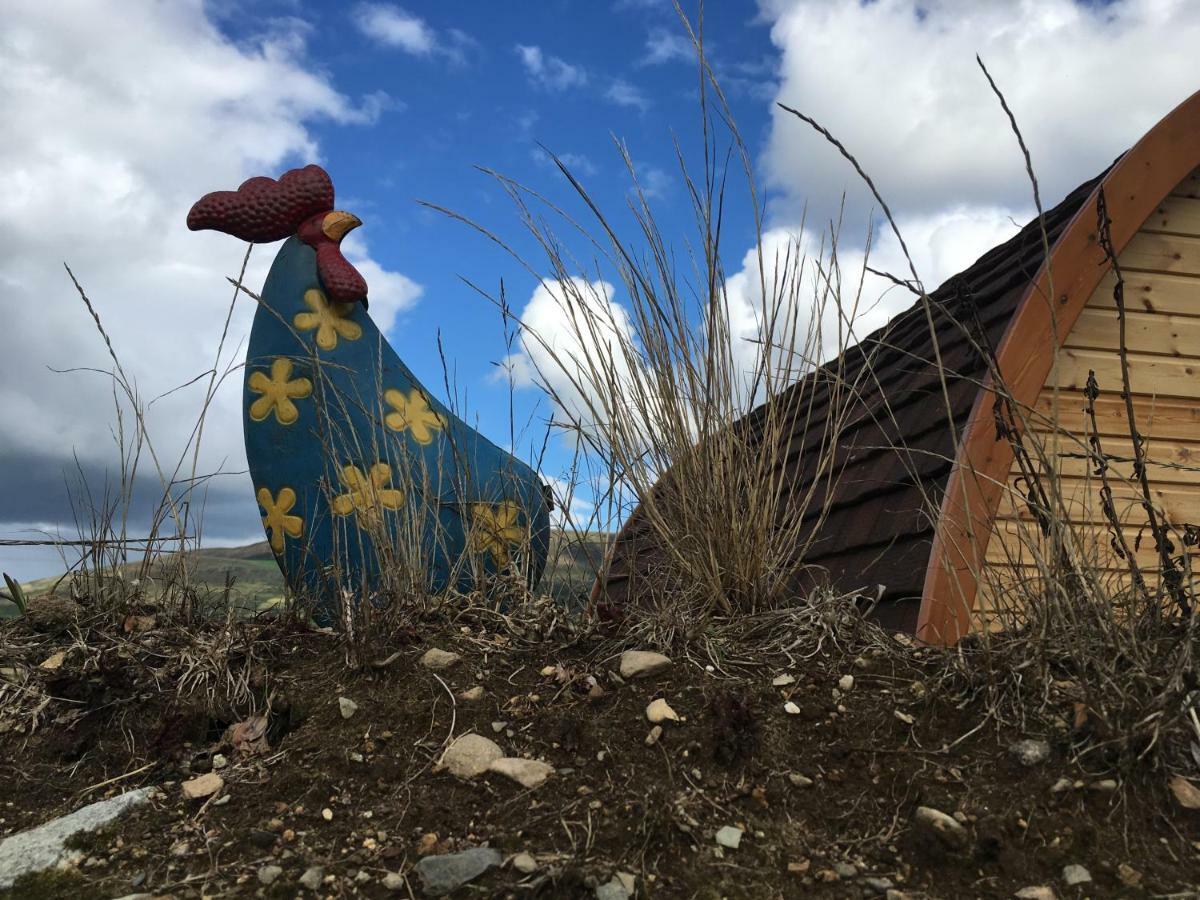 Bluebell Lane Glamping Hotel Newry Exterior foto