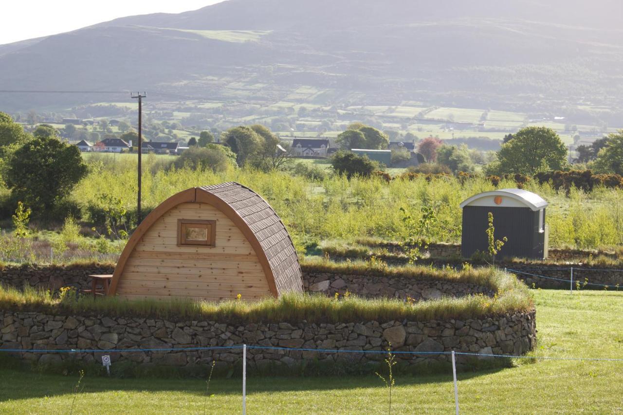 Bluebell Lane Glamping Hotel Newry Exterior foto